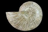 Silver Iridescent Ammonite (Cleoniceras) Fossil - Madagascar #157156-1